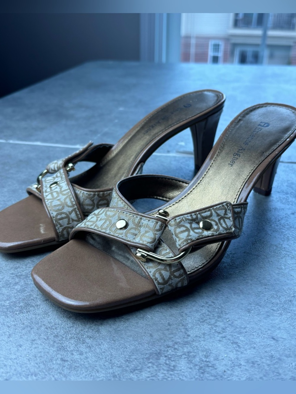 Y2k Etienne aigner buckle sandal